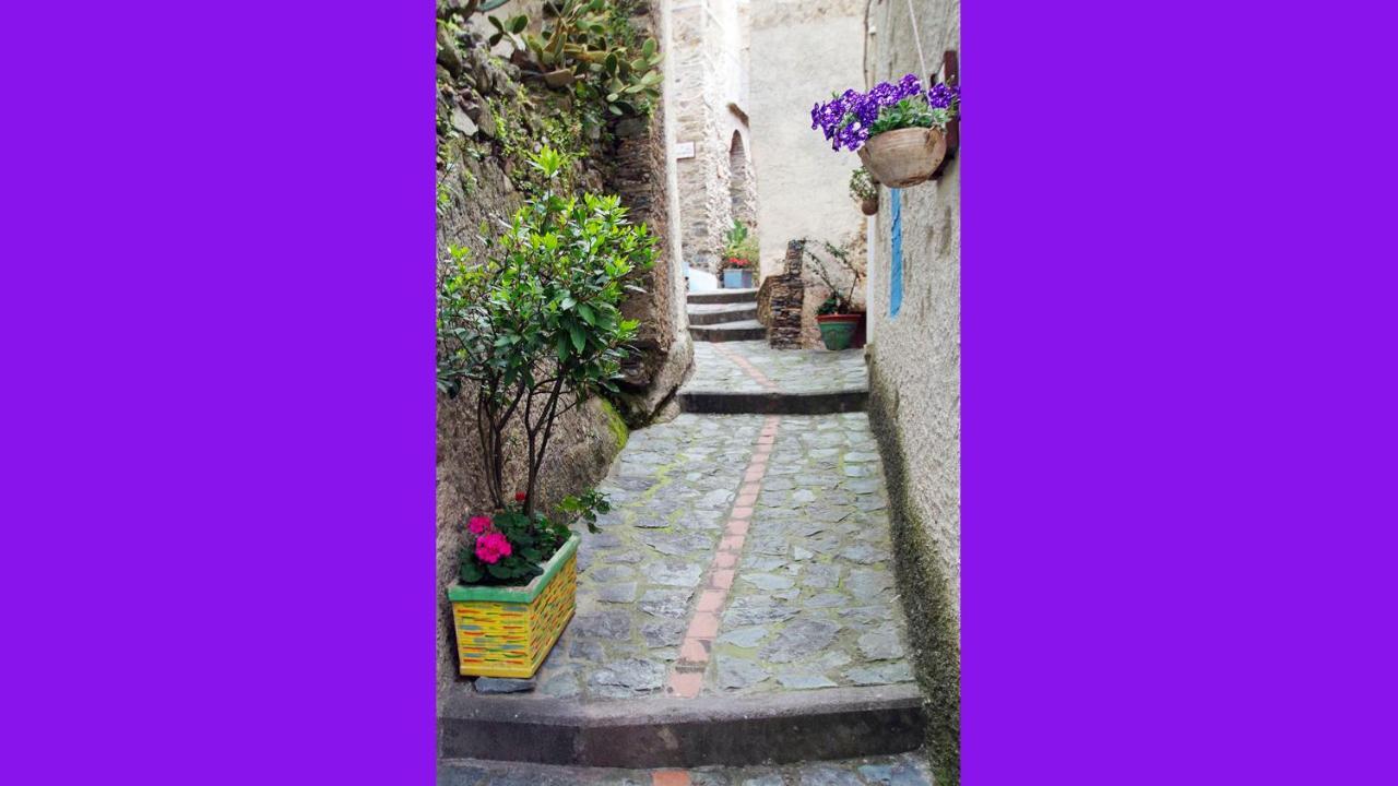 Albergo Diffuso Ecobelmonte Belmonte Calabro Exteriér fotografie